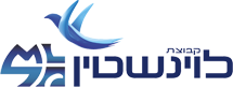 Levinstein-Logo